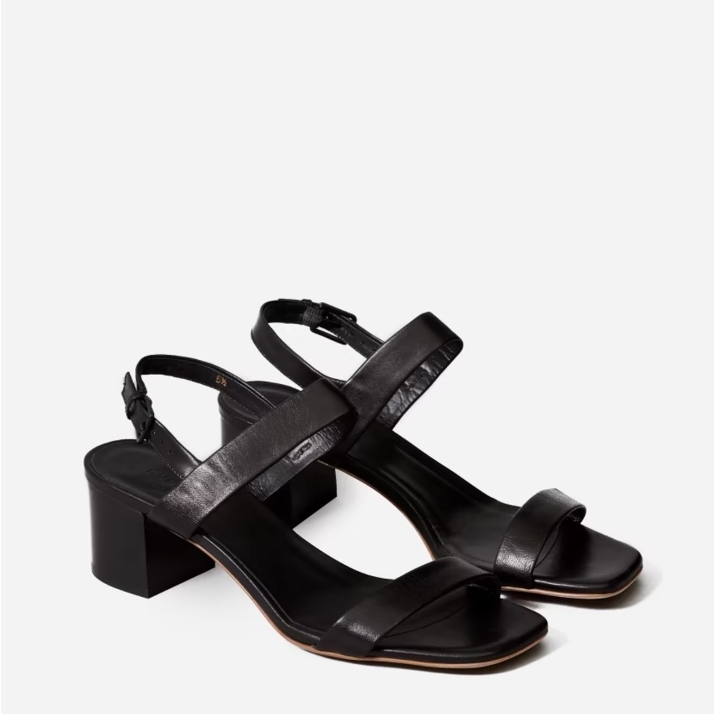Everlane Double Strap Block Heel Sandal in Black